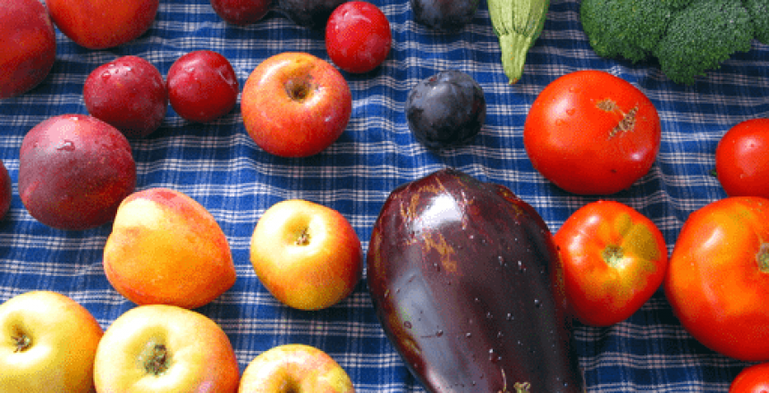 Five-Tips-for-a-Healthy-Life-1